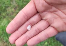 Neve segnalata tra Cervo e Andora, ma è graupel graupel neve tonda