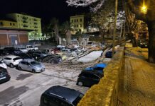 Cogoleto, vento forte abbatte un albero in centro, scattano i divieti Cogoleto albero abbattuto 20 dic 2024
