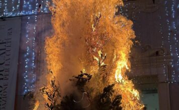 Confeugo 2024 Genova