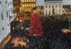 Genova, quest’anno niente albero tagliato per Natale Natale 2024 Genova albero piazza De Ferrari