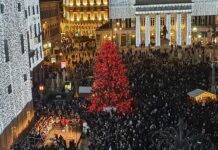 Genova, quest’anno niente albero tagliato per Natale Natale 2024 Genova albero piazza De Ferrari