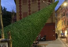 Genova, il vento forte abbatte l’albero di Natale di Nervi nervi albero natale caduto