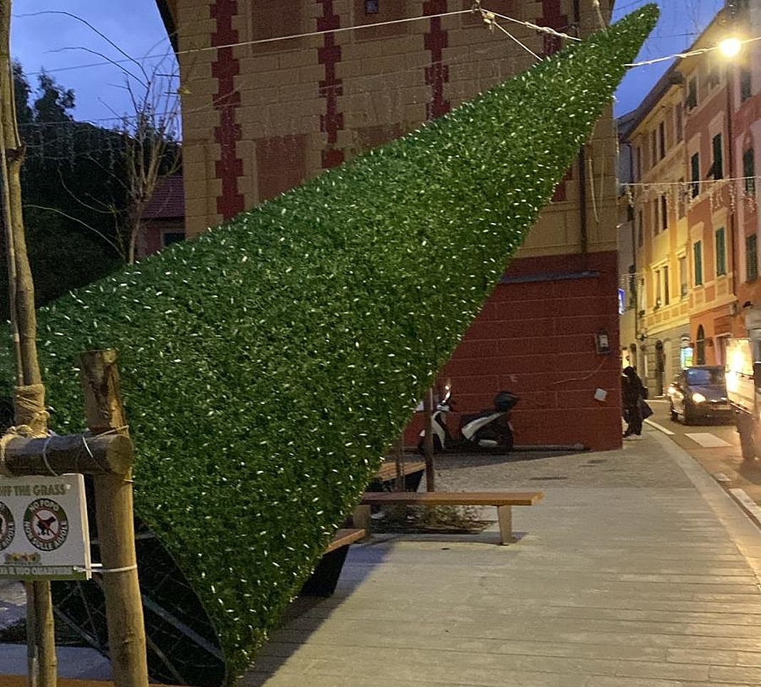 nervi albero natale caduto