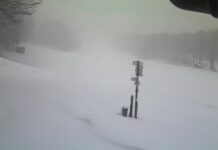 Allerta Gialla per neve sino alle 15 in Liguria Prato cipolla neve 8 dicembre 2024