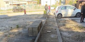 Recco, taglio alberi e autoscontri in piazzale Europa e scoppia la protesta Recco taglio alberi Europa