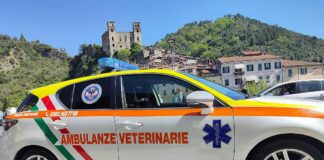 Imperia, le ambulanze veterinarie sospendono il servizio nei week end ambulanza veterinaria ambulanze veterinarie