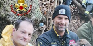Marmassana, cane resta incastrato in una tana di volpe, salvato da pompieri cane soccorso Marmassana