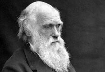 Darwin Day, a Genova la conferenza sull’evoluzione al Liceo D’Oria Charles Darwin