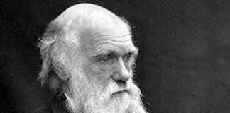 Darwin Day, a Genova la conferenza sull’evoluzione al Liceo D’Oria Charles Darwin