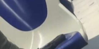 Genova, minaccia l’autista del bus con la pistola: identificato e denunciato