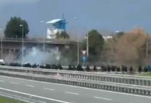 Autostrade, scontri tra tifoserie in A12: entrambe erano dirette in Liguria