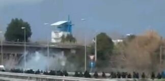 Autostrade, scontri tra tifoserie in A12: entrambe erano dirette in Liguria