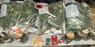 Genova, coltiva marijuana in casa a Sestri Ponente: arrestato 40enne