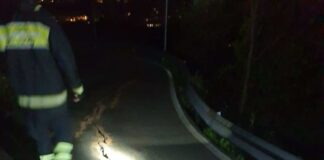 Casarza Ligure, frana lungo la provinciale per Novano: strada chiusa