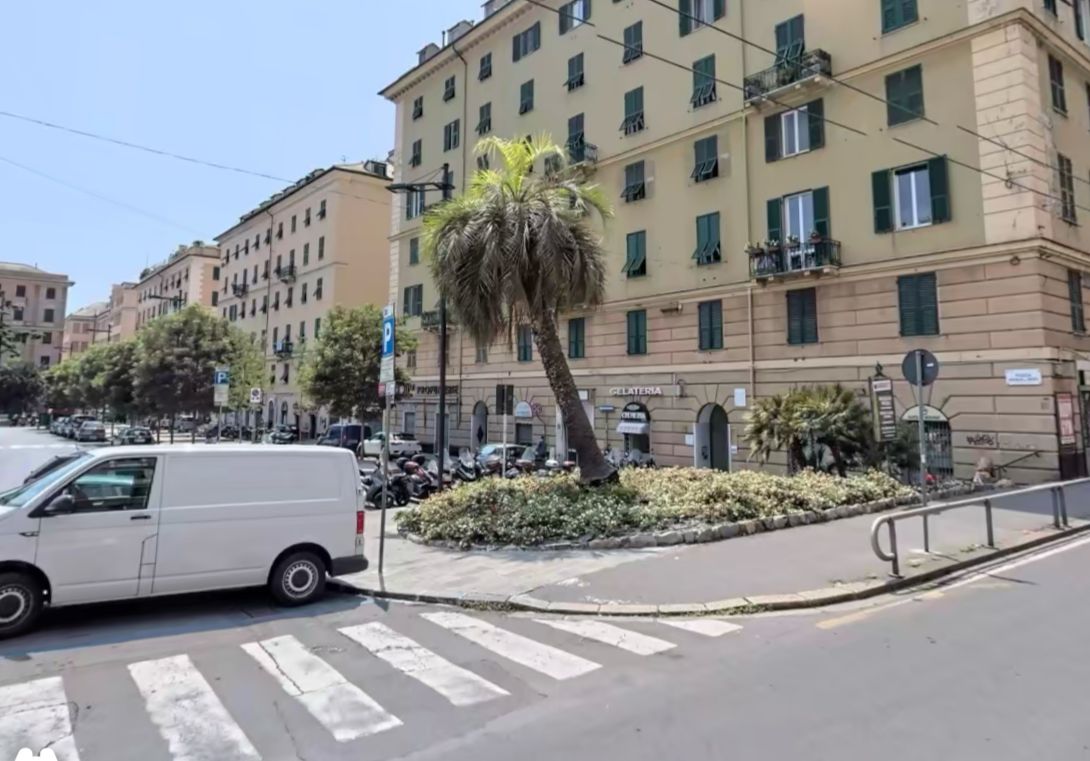 palma crollata piazza Paolo da Novi Genova Foce