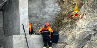 Sori, giovane capriolo scivola sulla scogliera e resta bloccato – VIDEO capriolo salvato Sori