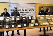Genova, sequestrati 250 chili di cocaina in carico di tonno dall’Ecuador cocaina sequestro Genova