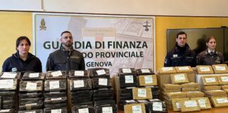 Genova, sequestrati 250 chili di cocaina in carico di tonno dall’Ecuador cocaina sequestro Genova
