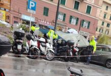 Donna travolta dalla palma alla Foce, aperto fascicolo per omicidio colposo palma crollata piazza Paolo da Novi Genova