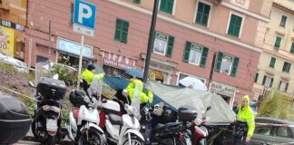 Genova, donna travolta dalla palma, verifiche anche su lavori stradali palma crollata piazza Paolo da Novi Genova