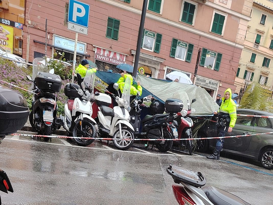 palma crollata piazza Paolo da Novi Genova