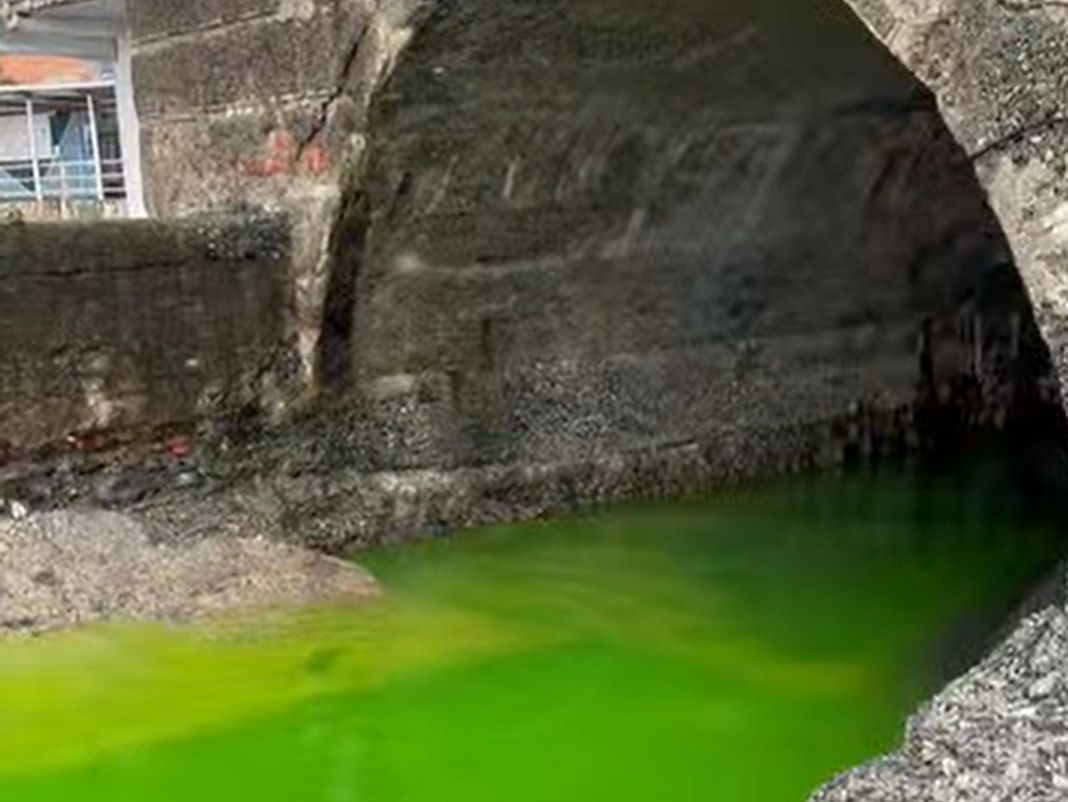 Pegli acqua verde in mare