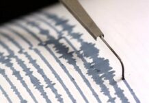 terremoto sismografo