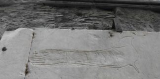 Genova, il mistero del braccio inciso sulla Cattedrale di San Lorenzo