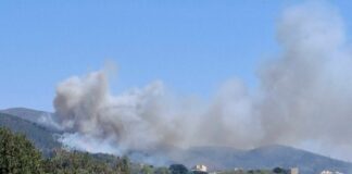 Genova, incendio sulle alture di Pra’: sul posto i soccorsi