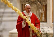 parmureli palme papa francesca