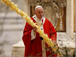 parmureli palme papa francesca