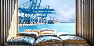 Genova, maxi sequestro di prodotti contraffatti confraffazione prodotti falsi, porto di Genova