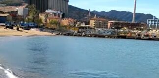 Vado Ligure, squalo sulla spiaggia, ha un grosso amo in bocca squalo verdesca Vado Ligure