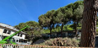 Marassi, strage di alberi in salita Gerbidi