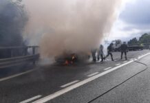 Autostrade, auto a fuoco in A12: soccorsi sul posto, tratto chiuso Auto a fuoco A10