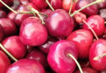 Sant’Olcese, domenica 1 e lunedì 2 giugno torna la Sagra della Ciliegia Ciliegie