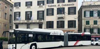 Genova, modifiche al traffico in centro: come cambiano i percorsi dei bus Filobus Genova Assi di Forza