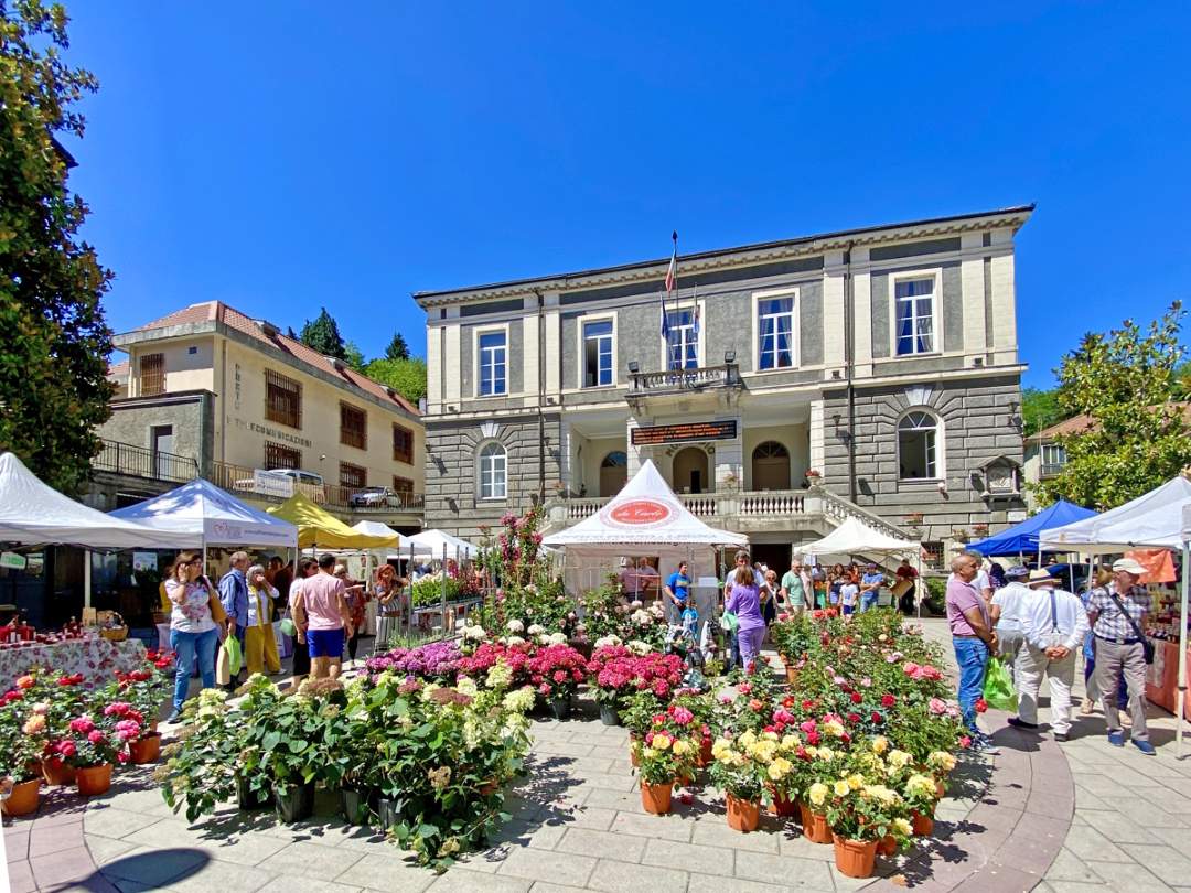 La Festa delle Rose di Busalla