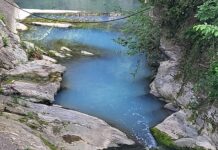 Genova, laghetti di Nervi inquinati con liquido bianco e puzzolente Nervi torrente via del Commercio