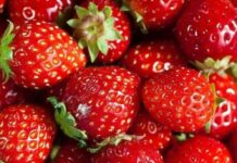 Rossiglione, nel weekend torna la 29a Sagra della Fragola