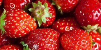 Rossiglione, nel weekend torna la 29a Sagra della Fragola