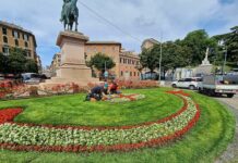 Genova, in piazza Corvetto cambiano le decorazioni dell’aiuola ellittica piazza Corvetto aiuola Genova