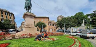 Genova, in piazza Corvetto cambiano le decorazioni dell’aiuola ellittica piazza Corvetto aiuola Genova