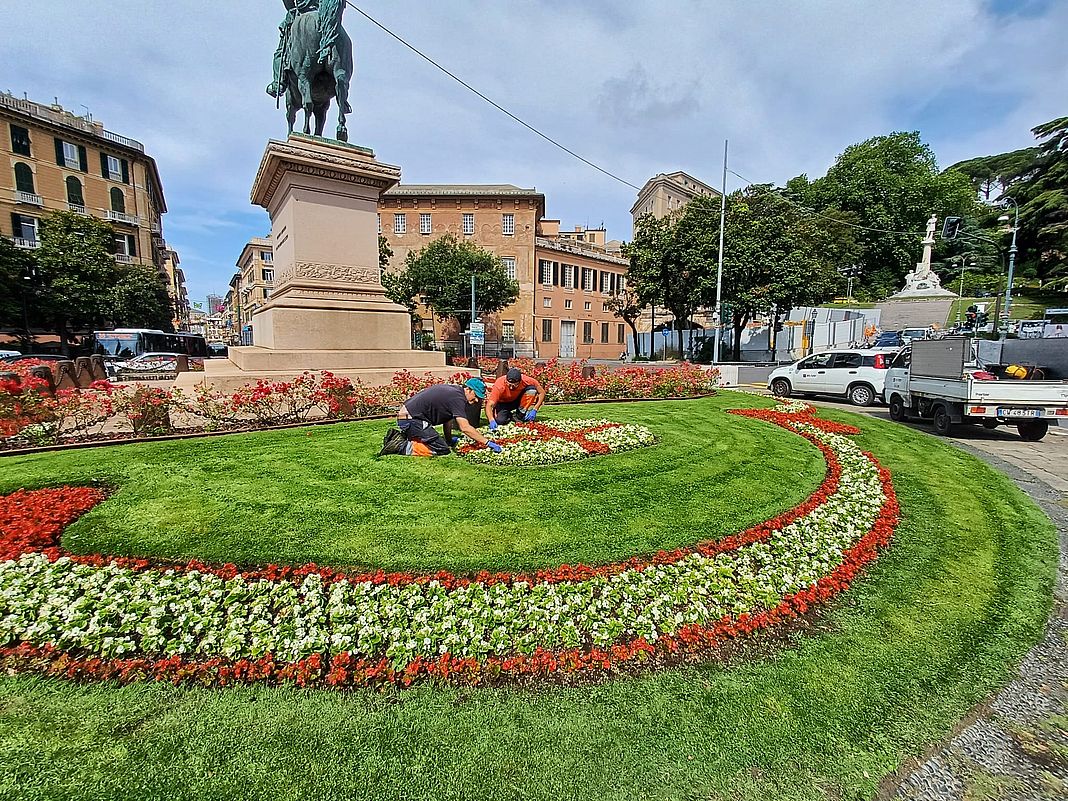 piazza Corvetto aiuola Genova