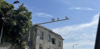 Cogoleto, polemiche per le telecamere sull’Aurelia cogoleto telecamere aurelia