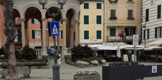 Rapallo, virale la foto delle papere che attraversano sulle strisce rapallo papere attraversano strada