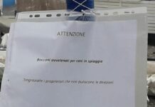 Genova, bocconi avvelenati per cani a Priaruggia: allarme tra i padroni Bocconi avvelenati cani Priaruggia