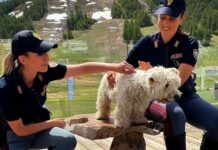 Campagna della Polizia di Stato contro l’abbandono degli animali Campagna abbandono animali