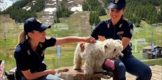 Campagna della Polizia di Stato contro l’abbandono degli animali Campagna abbandono animali