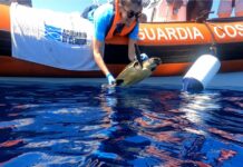 Genova, rilasciata in mare la tartaruga soccorsa ad aprile a Imperia